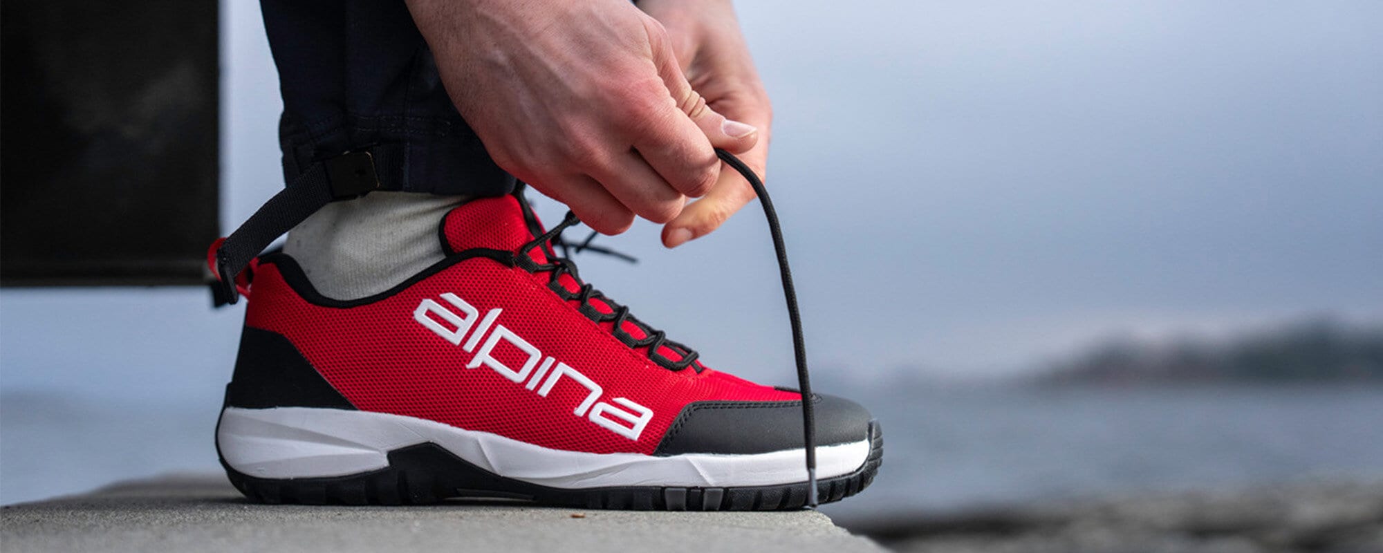 https://www.alpinashop.se/pub_docs/files/Alpina-EWL-20-8.jpg