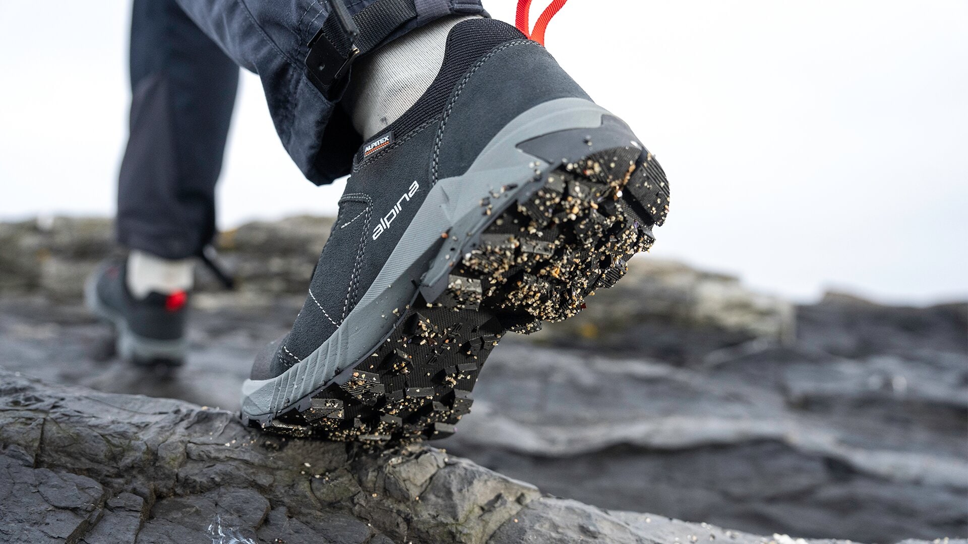 https://www.alpinashop.se/pub_docs/files/Alpina-Tracker.png