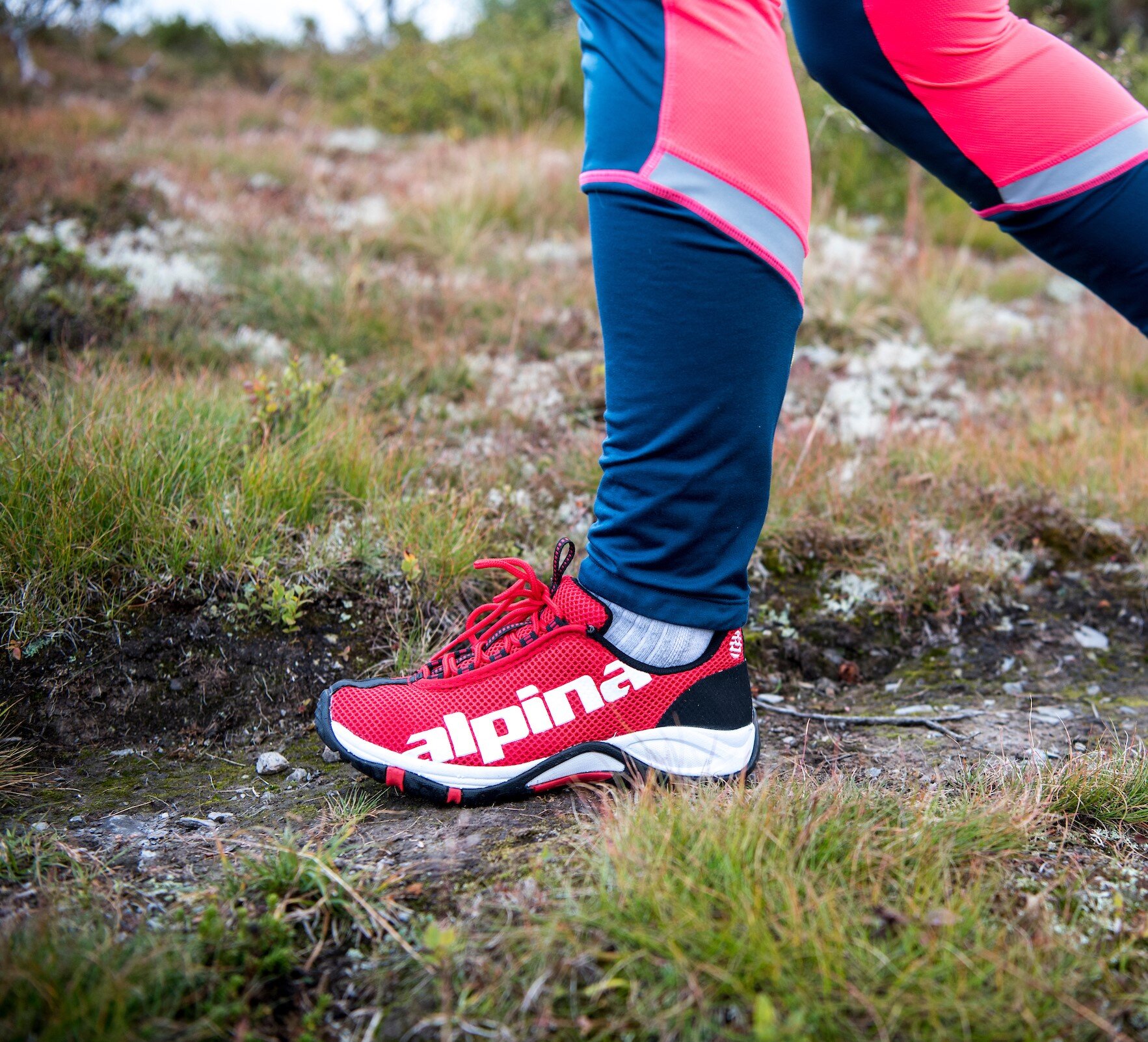 https://www.alpinashop.se/pub_docs/files/Alpina-dam.jpg